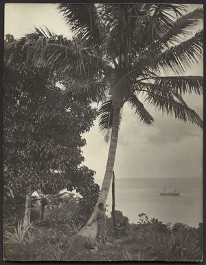 Coastal scene, Vanuatu