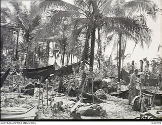 MOMOTE, LOS NEGROS ISLAND, ADMIRALTY ISLANDS. 1944-03-18. RAAF AIRMEN CAMPED IN FOXHOLES IN A BOMB-BLASTED COCONUT PLANTATION HANG THEIR BLANKETS OUT TO DRY