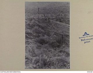 WIRUI MISSION, WEWAK AREA, NEW GUINEA, 1945-05-15. 2/4 INFANTRY BATTALION TROOPS STANDING BESIDE GUNS TO PIN- POINT THE HEAVILY DEFENDED POSITIONS USED BY JAPANESE FORCES DURING THEIR DEFENCE OF ..