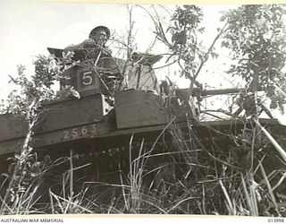 1942-12-05. PAPUA. CAMOUFLAGED AUSTRALIAN TANK AWAITING THE SIGNAL TO MOVE FORWARD INTO ATTACK IN THE BUNA ACTION. MEN ARE FROM 5 TROOP, B SQUADRON, 2/6TH AUSTRALIAN ARMOURED REGIMENT