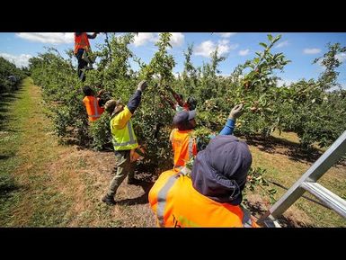 Solomon Islands seek to remove cap limiting the amount of RSE workers