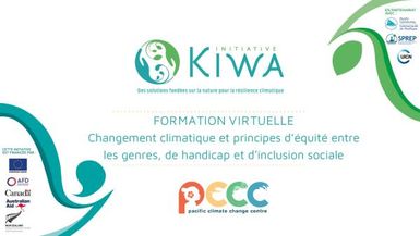 Formation Virtuelle : Changement climatique et principes d’équité entre les genres, de handicap et d’inclusion sociale