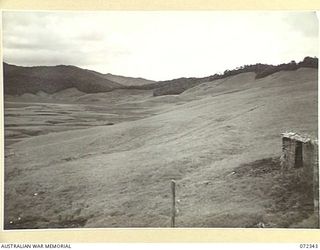 MYOLA, NEW GUINEA. 1944-04-07. THE SUPPLY DROPPING AREA AT MYOLA SWAMP, THE SIGNAL LINE IN THE FOREGROUND IS SERVICED BY THE 23RD LINE SECTION, 18TH LINES OF COMMUNICATION SIGNALS