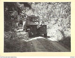 RILE AREA, NEW BRITAIN. 1945-03-06. 25 POUNDER GUNS OF THE 2/14TH FIELD REGIMENT, BEING MOVED FROM RILE TO THE KALAI PLANTATION IN PREPARATION FOR THE NEXT ATTACK ON THE ENEMY POSITIONS. SEEN IS:- ..