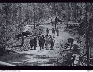 PAPUA. 1942-09. SECTION OF THE ROAD CONSTRUCTED BY SAPPERS OF THE ROYAL AUSTRALIAN ENGINEERS THROUGH DENSE JUNGLE IN THE OWEN STANLEY RANGE. OVER SOME SECTIONS THE SURFACE IS SO TREACHEROUS THROUGH ..