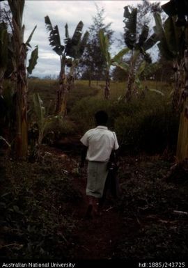Man walking along path