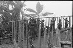 House-building for Rappaports: men frame with sharpened posts topped with long poles