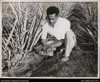 Inspecting the soil