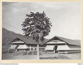 RABAUL, NEW BRITAIN. 1945-11-16. TWO RECENTLY COMPLETED BUILDINGS AT HEADQUARTERS 5 BASE SUB AREA. THE BUILDING ON THE LEFT HOUSES AMENITIES AND DADOS; THE ONE ON THE RIGHT HOUSES DADME AND ..