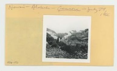 [Gunnera in Hawaii, envelope IE26-193]