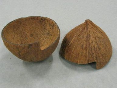 Coconut