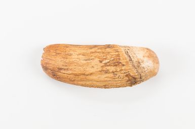Tabua