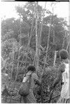 Giving shell money valuables; man at left in is Tafulau, elder brother of Nene'au So'ogeni