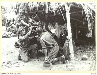 1943-10-08. NEW GUINEA. MARKHAM VALLEY. SAGARAK. A LIGHT GUN IN POSITION AT SAGARAK. (NEGATIVE BY G. SHORT)