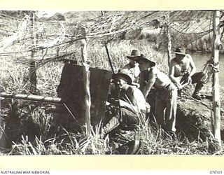 DUMPU, NEW GUINEA. 1944-01-25. VX76208 PRIVATE A. BROWN (1); QX34292 PRIVATE K.P. BYRNE (2); NX79059 SERGEANT J. TISDALE (3) AND QX15453 PRIVATE A.E. POKARIER (4); MEMBERS OF A GUN CREW OF "B" ..