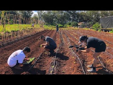 Scaling Up: Hawaiʻi's Food Future | PBS HAWAIʻI PRESENTS