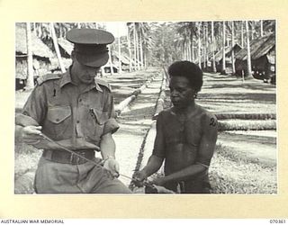 MILNE BAY, NEW GUINEA, 1944-02-10. NGX281 WARRANT OFFICER 2 K.M. CHAMBERS (1) THE ASSISTANT DIRECTOR OF NATIVE LABOUR PICTURED AT THE BARAGA NATIVE LABOUR CAMP HEADQUARTERS. HE IS EXAMINING A "KIA" ..