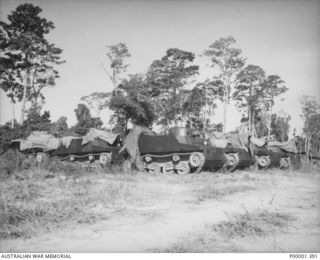 A GROUP OF JAPANESE TYPE 2 KA-MI AMPHIBIOUS TANKETTES PARKED IN A STORAGE AREA, PROBABLY AT PANAPAI AIRSTRIP. (RNZAF OFFICIAL PHOTOGRAPH.)