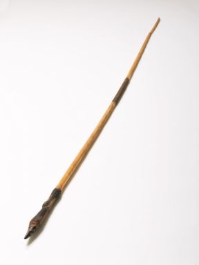 Melanesian Spear