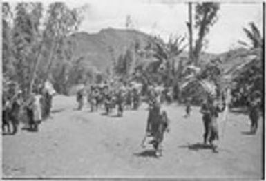 Pig festival, uprooting cordyline ritual: allies enter the dance grounds, led by men with weapons