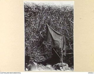 PANAMBERI RIVER, NEW GUINEA, 1945-08-05. NATIVE CARRIERS ACCOMPANIED 2/7 INFANTRY BATTALION TROOPS ON A SIX DAY PATROL INTO ENEMY TERRITORY. THEY CARRIED ALL STORES AND EQUIPMENT, ADDITIONAL TO ..