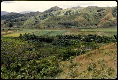 Sigatoka Valley, Fiji, 1971