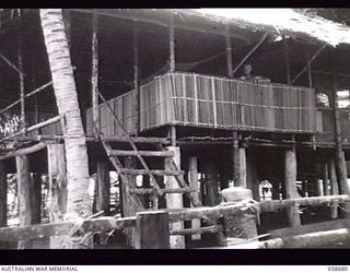 MIRAVASI, NEW GUINEA. 1943-09-16. LIEUTENANT COMMANDER J. A. R. PATRICK, BEACHMASTER AT MIRAVASI, LOOKING OUT FROM HIS BEACH DWELLING