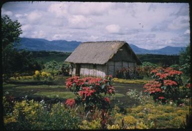 An Aidpost : Wahgi Valley, Papua New Guinea, 1954 and 1955 / Terence and Margaret Spencer