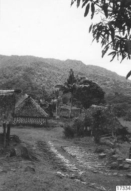 stone blocks, shrubs, dragonflies, palm trees, mountains, houses, woods, vessels, landscapes, photography, stenph