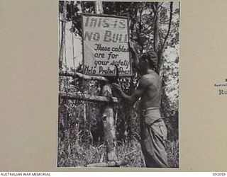 BOUGAINVILLE. 1945-05-16. SIG C.W. DUGAN, 15 INFANTRY BRIGADE SIGNALS ERECTING A WARNING NOTICE TO TROOPS TO PROTECT SIGNAL LINES ALONG THE BUIN ROAD