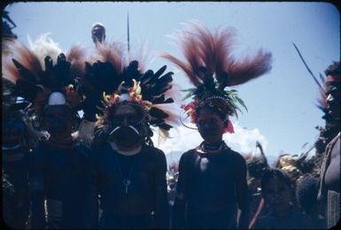 Fully decorated men (9) : The Tengerap Clan Singsing, Wahgi Valley, Papua New Guinea, 1954 / Terence and Margaret Spencer