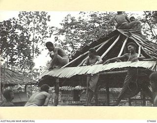 LAE-NADZAB, NEW GUINEA. 1944-07-19. NATIVES ERECTING HUTS AND THATCHING THEM WITH SAC-SAC (SAGO PALM THATCH) AT THE AUSTRALIAN NEW GUINEA ADMINISTRATIVE UNIT HEADQUARTERS