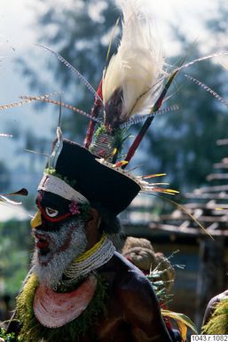 ["halsband, huvudbonad, ansiktsmålning, fotografi, photograph"]