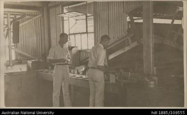 Cutting, Pineapple Cannery