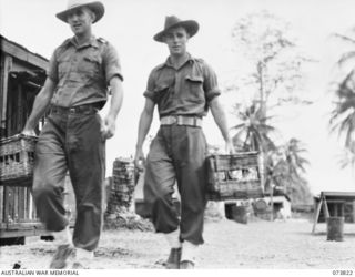 LAE, NEW GUINEA. 1944-06-12. MEMBERS OF HEADQUARTERS 1ST PIGEON SECTION, TRANSPORTING PIGEONS IN FOUR BIRD BASKETS. IDENTIFIED PERSONNEL ARE:- QX47780 SIGNALMAN R. TURBETT (1); QX28678 SIGNALMAN L. ..