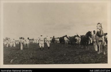 Nausori Agricultural Show