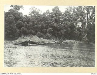 JACQUINOT BAY, NEW BRITAIN. 1944-11-04. THE WEED OVERGROWN WRECKAGE OF A JAPANESE BUILT BRIDGE, A MUTE REMINDER OF THE DAYS OF THE ENEMY OCCUPATION OF THE AREA