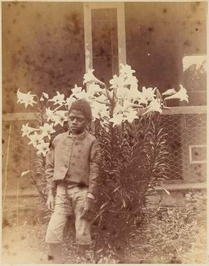 Young Melanesian Lad Standing Outside a House Norfolk Island