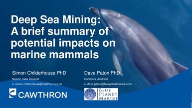 Deep sea mining: a brief summary of potential impacts on marine mammals