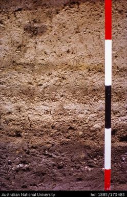 SAD/VI, North or South face, close-up