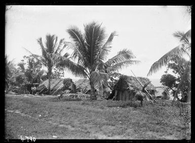 Samoan Village