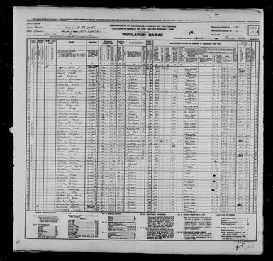 1940 Census Population Schedules - Hawaii - Hawaii County - ED 1-31