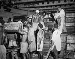 Loading bananas in Fiji