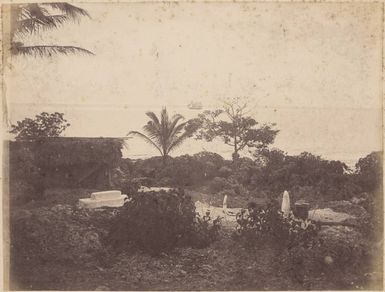 Buster off Niue, 1886