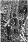 Ngadaaba'e, 'Elota's younger son, working in garden