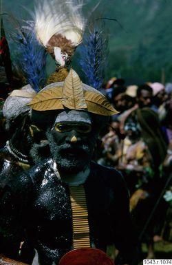 ["huvudbonad, fotografi, photograph"]