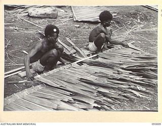 MOROKAIMORO, BOUGAINVILLE, 1945-06-05. NATIVES AT WORK SEWING SAC SAC DURING THE CONSTRUCTION OF A HOUSE AT THE ANGAU COMPOUND. FROM THIS POINT A NATIVE CARRIER LINE OPERATES TO 2/8 COMMANDO ..