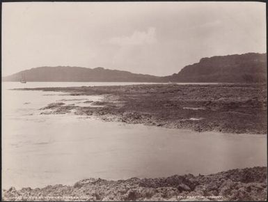 The coast of Loh at Vipaka, Torres Islands, 1906 / J.W. Beattie