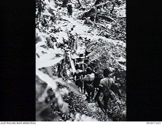 Papua-New Guinea, c. 1943. Led by an Australian soldier (in the background), a line of native stretcher-bearers (sometimes called fuzzy wuzzy angels) and other helpers threads its way down a ..