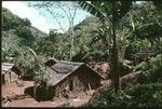 Kwaio hamlet, with men's house at the top end of the clearing